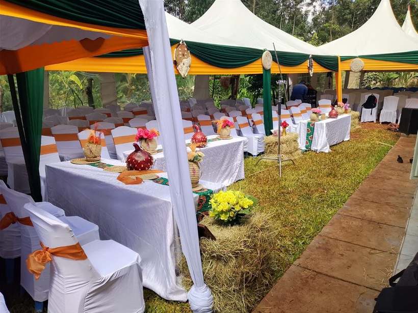 Draped tents