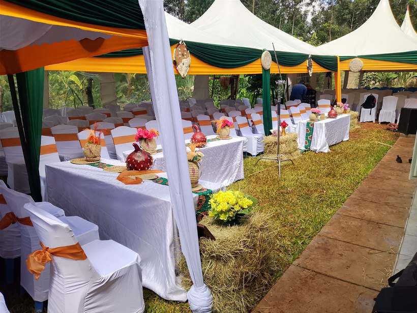 Green and gold draped tents
